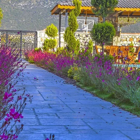 Farm Vila